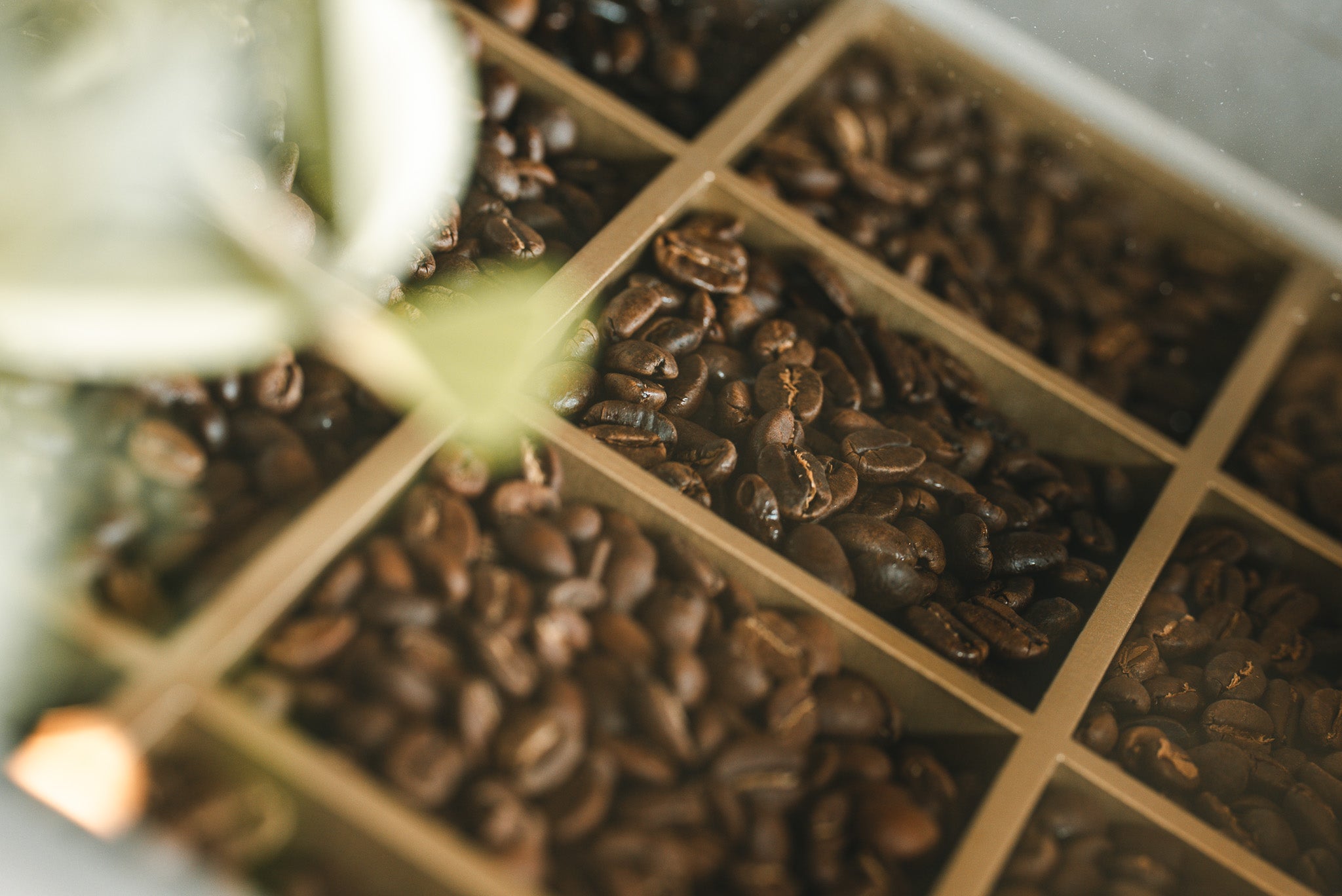 Subscription – Lav fabec roasters