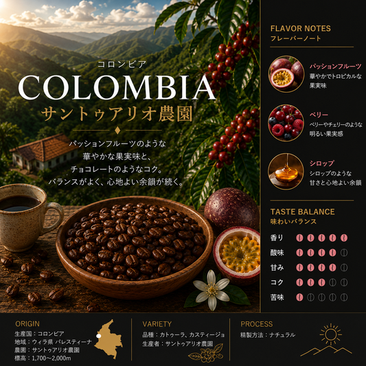 コロンビア サントゥアリオ農園 200g